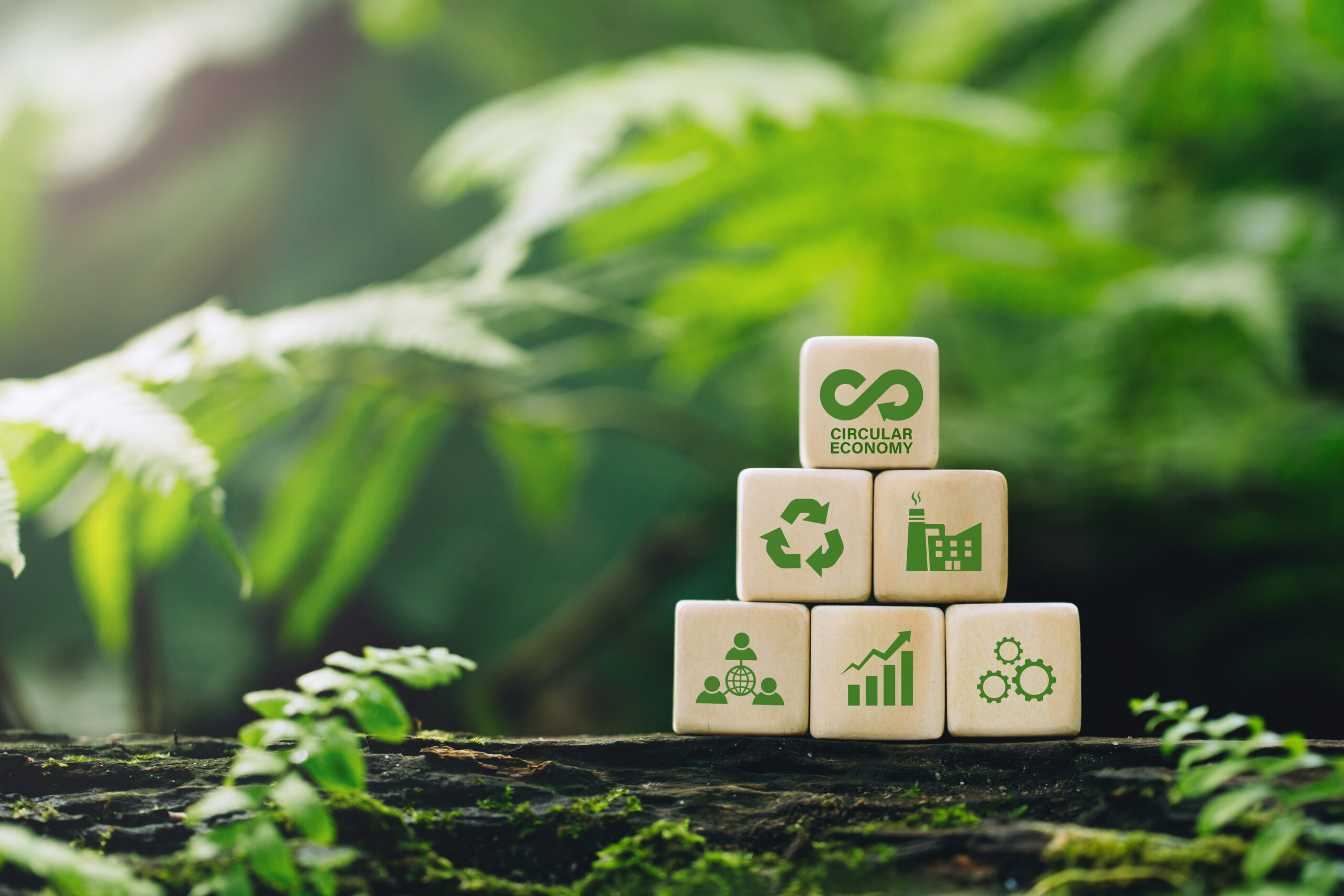 AIJU Leads the Way in Circular Economy