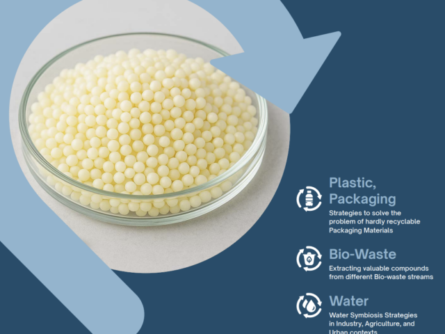 Demonstrator 5 Leaflet, Flexible and Intelligent Biorefinery for Bio-waste Circularity
