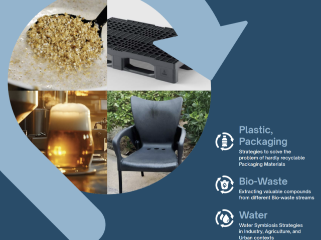 Demonstrator 6 Leaflet, Valorisation of brewer’s spent grain