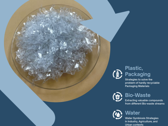Demonstrator 7 Leaflet, Mechanical recycling of mPet