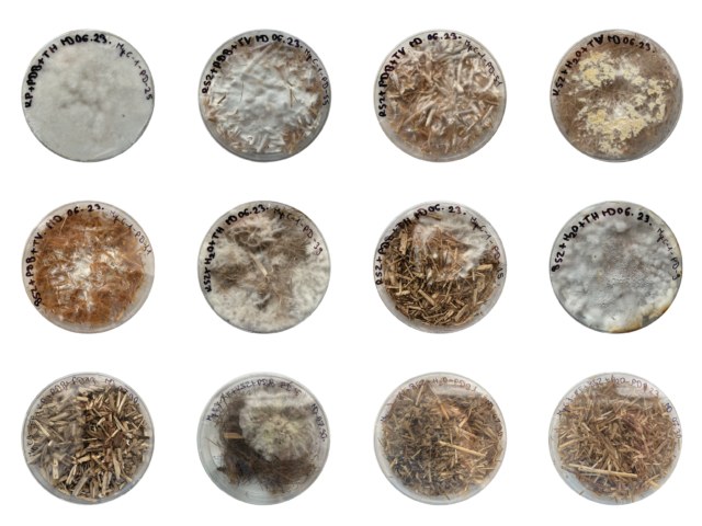 Testing Innovative Packaging Materials in the CircSyst Project